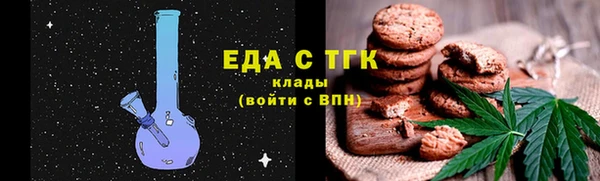 дживик Ельня