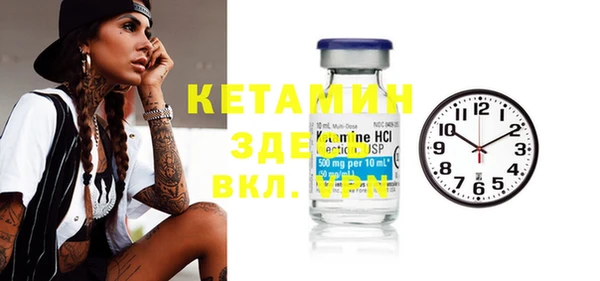 дживик Ельня