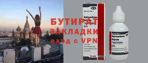 дживик Ельня