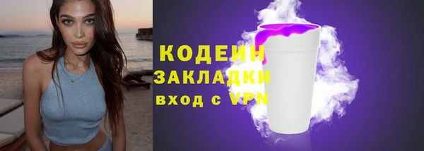 дживик Ельня