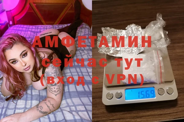 дживик Ельня