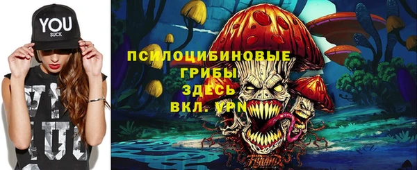 mdpv Елабуга