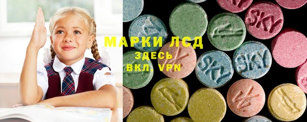 дживик Ельня