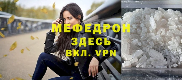 дживик Ельня