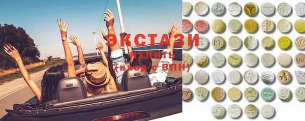 дживик Ельня