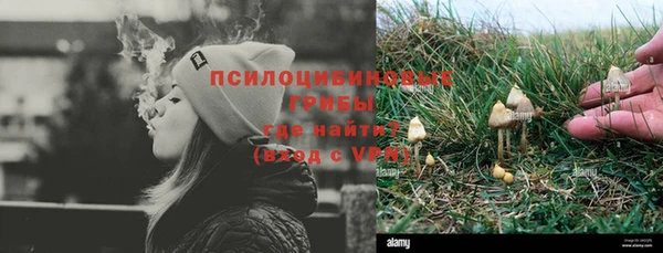крисы Елизово