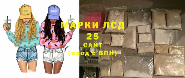 дживик Ельня