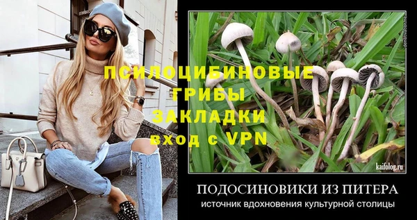 крисы Елизово