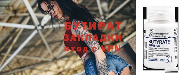 дживик Ельня