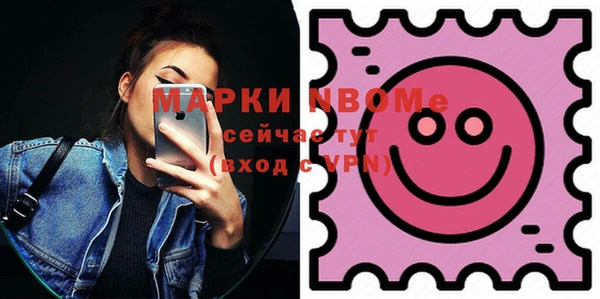 дживик Ельня