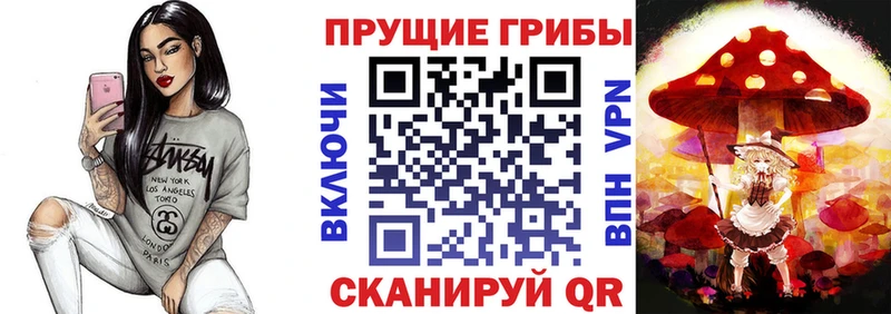 Галлюциногенные грибы Cubensis  даркнет сайт  Ельня 